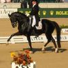 Moorlands Totilas & rider Edward Gal at the 2010 World Equestrian Games, at the Kentucky Horse Park in Lexington, KY.