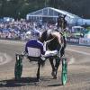 David Miller & the trotter Uncle Peter head to the gate for the 2014 Elitlopp at the Solvalla Racetrack in Stockholm, Sweden.